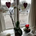Restaurant Saelhunden 4* リーベ