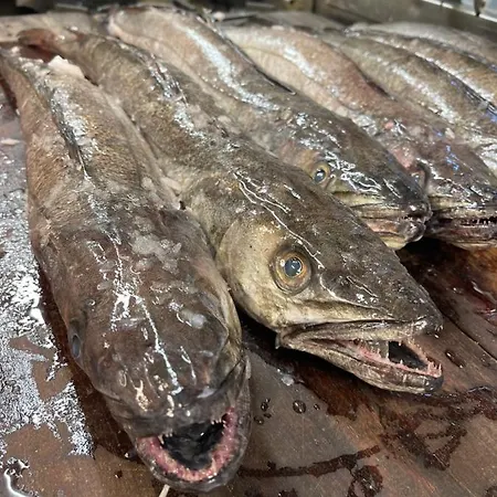 Restaurant Saelhunden Nocleg ze śniadaniem Ribe