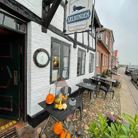 Restaurant Saelhunden 4* Рибе