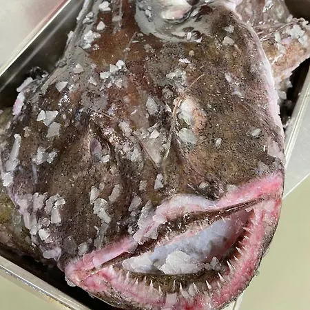 Nocleg ze śniadaniem Restaurant Saelhunden 4*