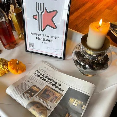 Restaurant Saelhunden Nocleg ze śniadaniem Ribe