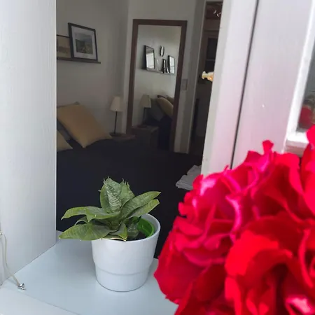 Restaurant Saelhunden 4* Ribe