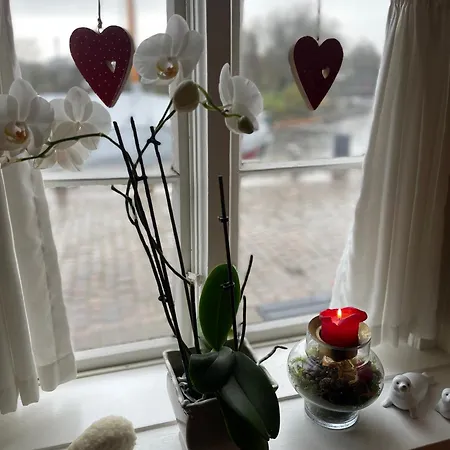 Restaurant Saelhunden 4* Ribe